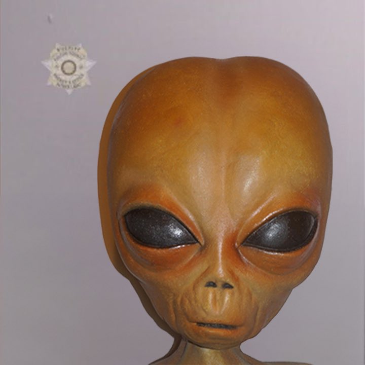 LILMAYO's tweet photo. HELP https://t.co/YfHiAiX3cC
