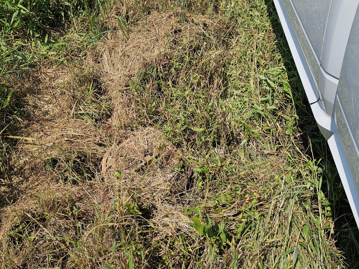 ar_verification's tweet image. When you almost find the old riser the hard way. Don&apos;t worry it has several flags now.