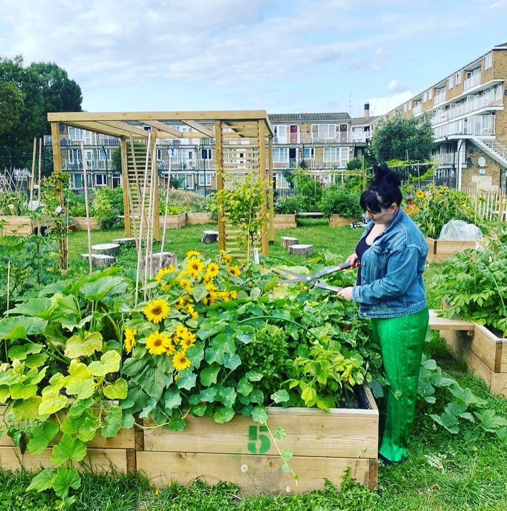 I grew my own fresh flowers at the allotment 🌻