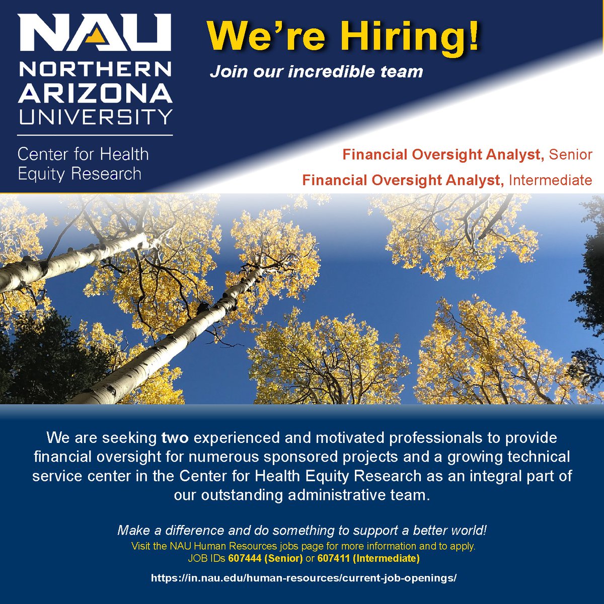 🔍 Passionate about finance? Explore open Financial Oversight Analyst roles at NAU's Center for Health Equity Research.
 
Apply now at bit.ly/44kgOWv
JOB IDs: 607444 (Senior) or 607411 (Intermediate)
 
#CHERTheHealth #HealthEquity #NAUResearch #NAUCareers #Finance