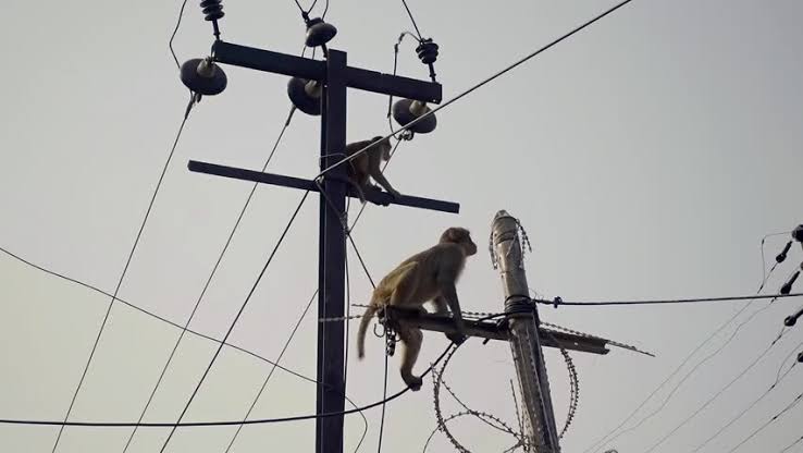 Chelsea FUN'S running to buy 1gb for 1hr pale <a href="/Safaricom_Care/">Safaricom Care</a> <a href="/SafaricomPLC/">Safaricom PLC</a> after KPLC doing the things
