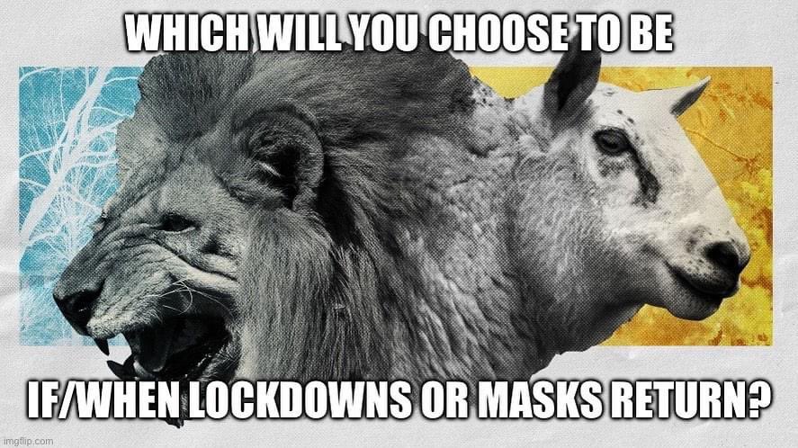 Phil_Dodge's tweet photo. Choose wisely… https://t.co/NEYHhJcsW0