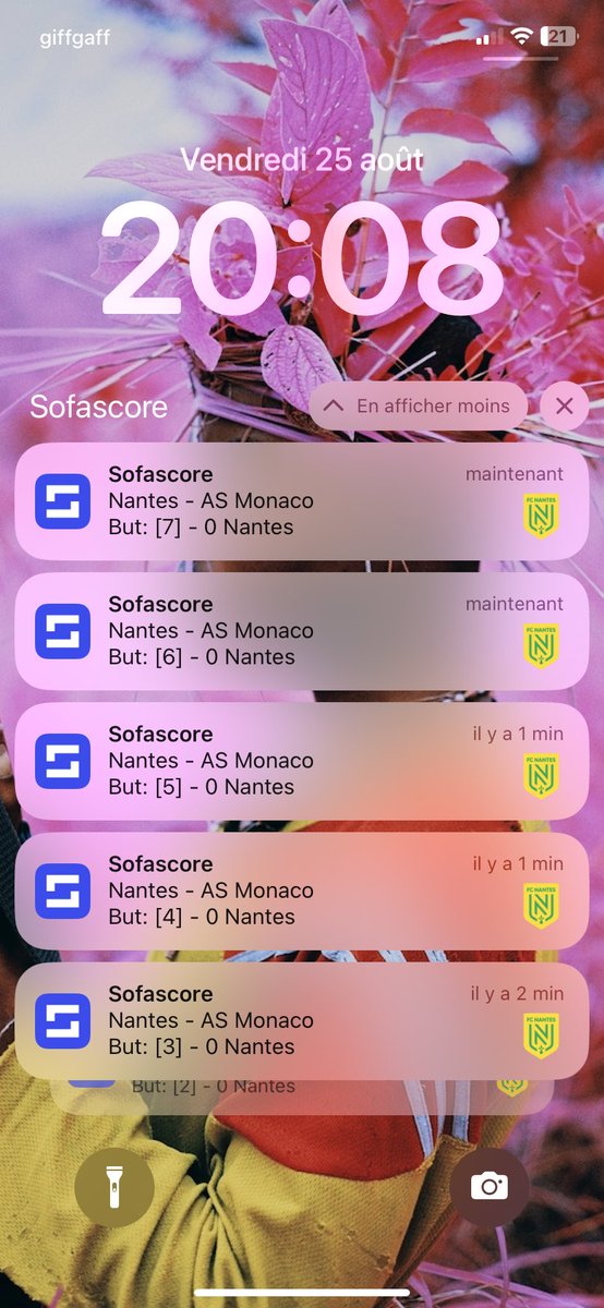 Lucas Colin tweet media