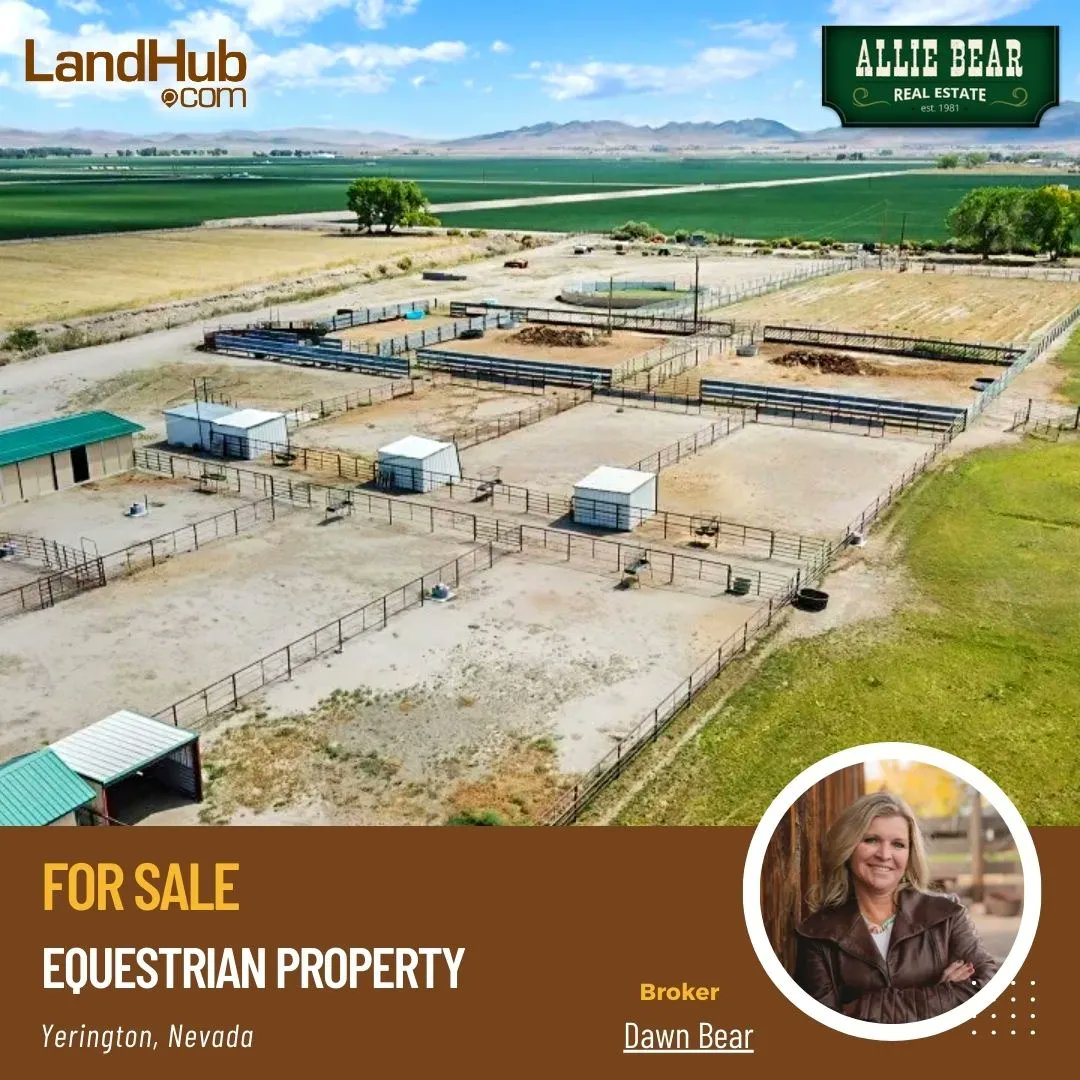 landhub's tweet image. 🙋‍♂️146-Acre Equestrian Paradise in Yerington, Nevada: Endless Possibilities Await!
#equestrianproperty #developmentpotential #landforsale 

MORE INFO 👉 bit.ly/44rXlDA