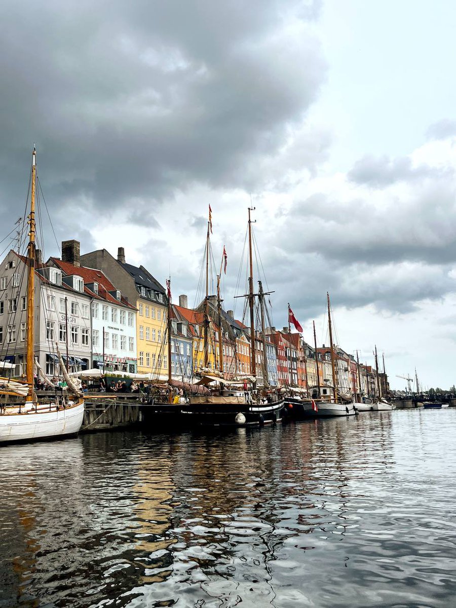 IDUN Research Section tweet media