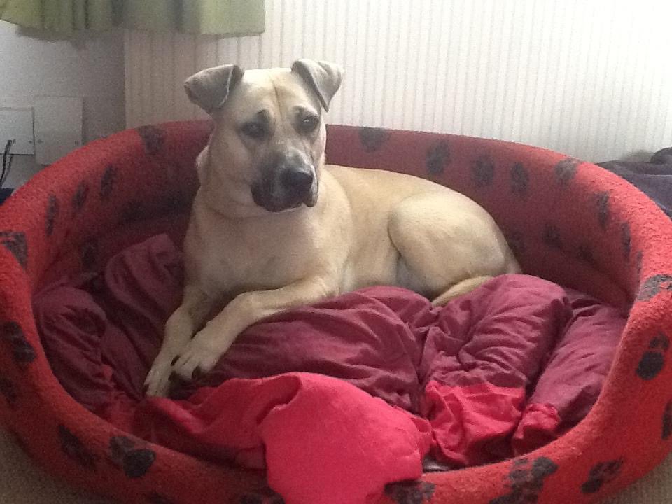 Claire Mitchell tweet media