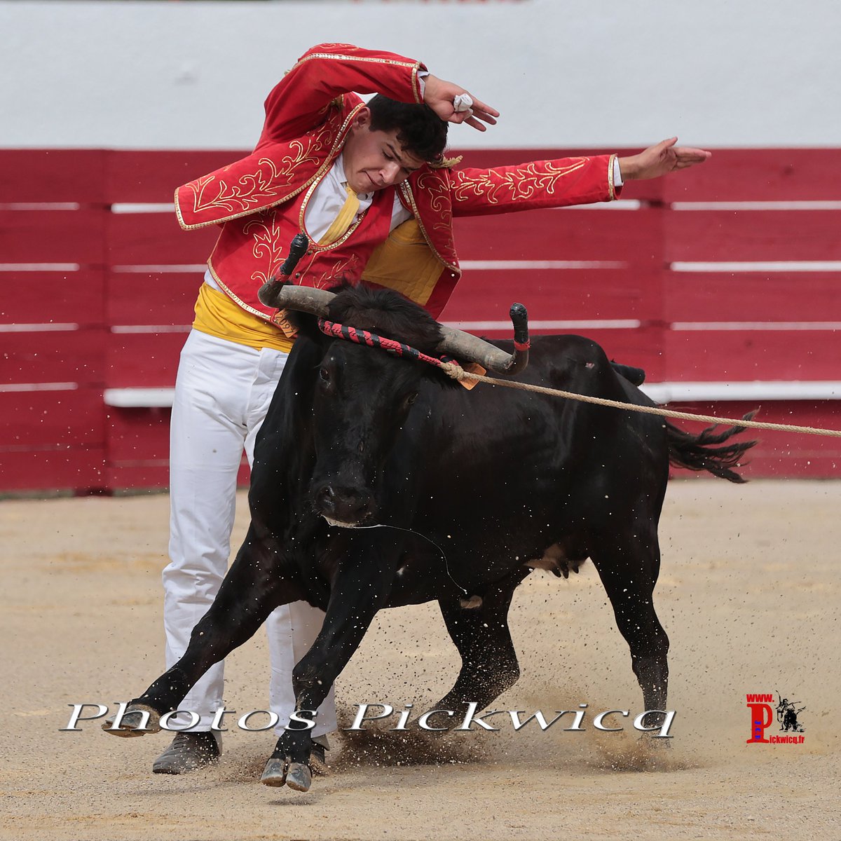 PONTONX SUR ADOUR,
Samedi 26 Août 2023 à 16h00,
Photo de Jules Lorreyte, 
Course Landaise de Compétition avec la Ganadéria Armagnacaise - Cuadrilla Gaëtan Labaste.
Les photos individuelles de l'Armagnacaise:
pickwicq.fr/fr/cuadrilla-a…