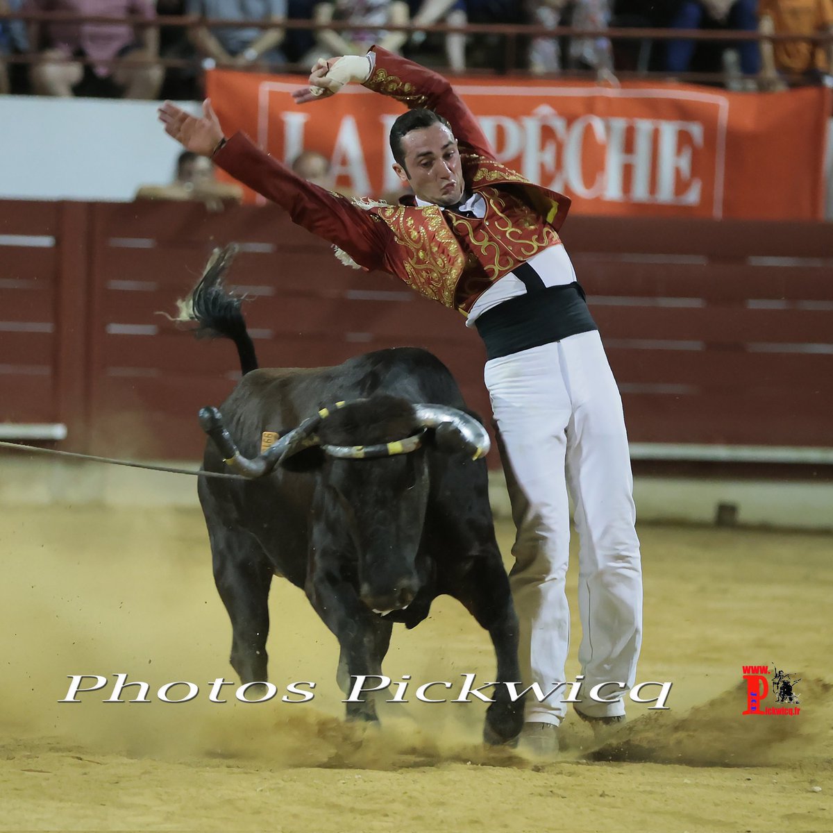 PONTONX-SUR-ADOUR,
Dimanche 27 Août 2023 à 17H00,
Un écart de Jean Ducassou,
Course Landaise de Compétition, Ganaderia Dal-Agruna - Cuadrilla  Cyril Dunouau.
Les photos individuelles de la Cuadrilla Cyril Dunouau :
pickwicq.fr/fr/cuadrilla-d…