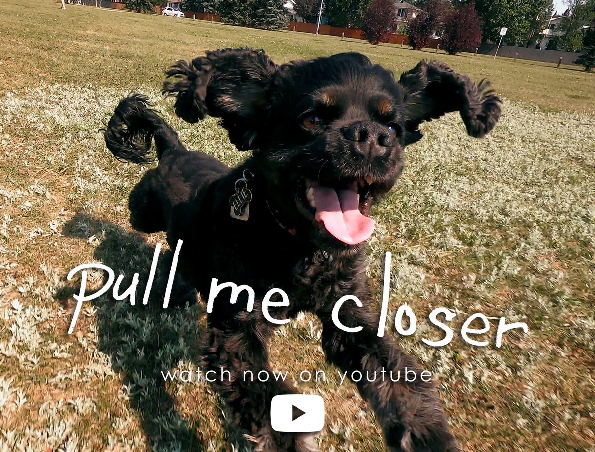 It's true. I released a brand new music video for an older song.  Why?  Because it's Ellie's 4th Birthday doggarnit. Look how cute.

youtu.be/ZkcF1TzaAPc

Only 9 vinyl copies left of this album!
kingdylan.com