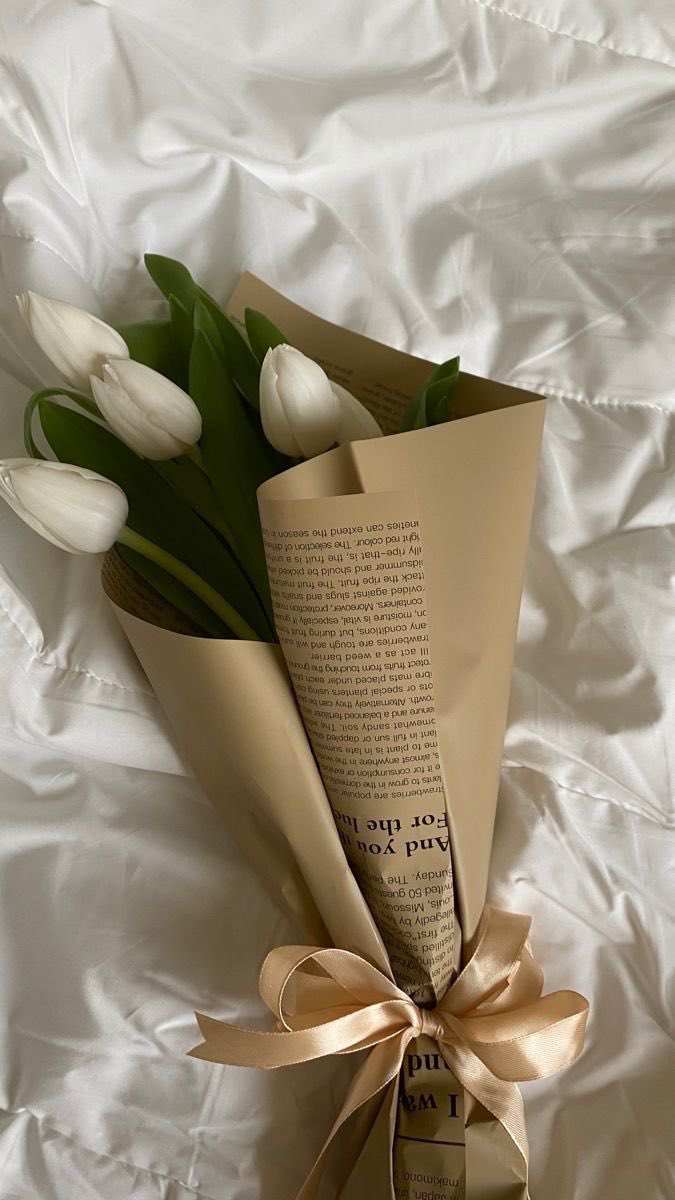 ciceklendirdik's tweet photo. Hepsi birbirinden güzel 🌷🌷🌷 https://t.co/Ti3WevMjau