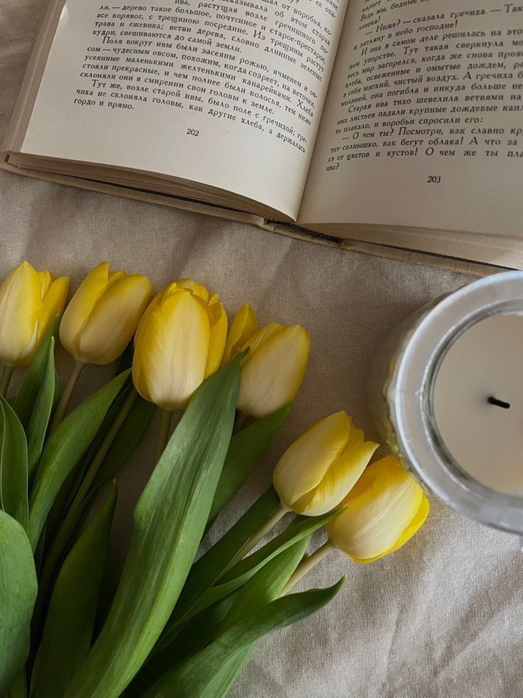 ciceklendirdik's tweet photo. Hepsi birbirinden güzel 🌷🌷🌷 https://t.co/Ti3WevMjau