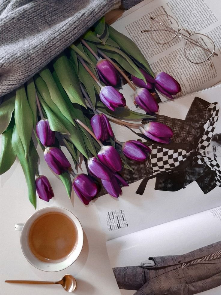 ciceklendirdik's tweet photo. Hepsi birbirinden güzel 🌷🌷🌷 https://t.co/Ti3WevMjau