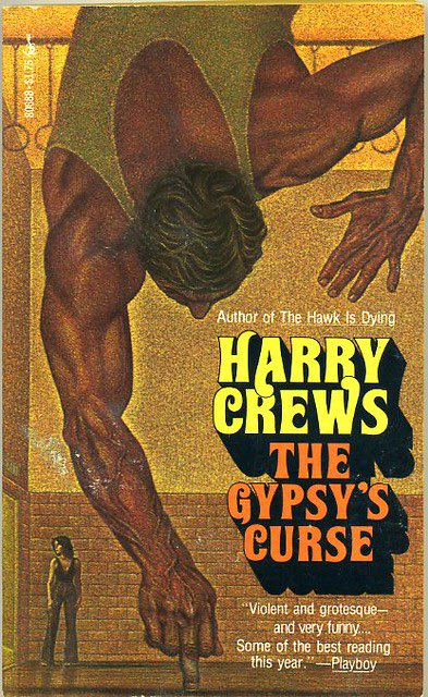 1/3 into The Painted Bird. The only comparison I can draw to how devastating and surreal this book is to Come And See. Every scene is a new atrocity and it’s only getting bleaker. It has a more surreal feel to the story as well. As bleak as The Road. Reading Gypsys Curse also.