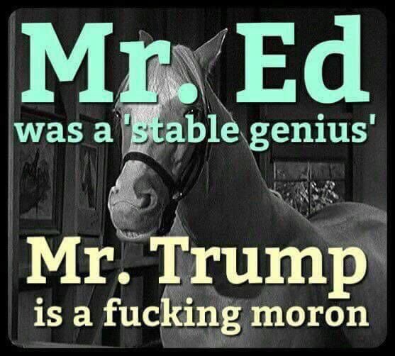PIO2U's tweet photo. @realTuckFrumper #TrumpScaredShitless #TrumpCrimeFamilyForPrison #LockHimUp #LockThemAllUp #InsurrectionHasConsequences #StopTrumpFascism https://t.co/pGcU9Rt2PX