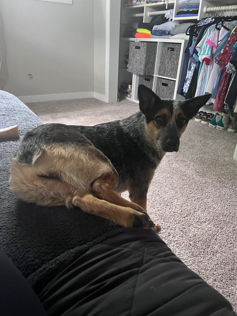 BrockThatcher's tweet photo. "Paint me like one of your French girls Jack" https://t.co/VbmoRyCYQq