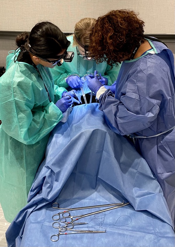 The Society of Thoracic Surgeons tweet media