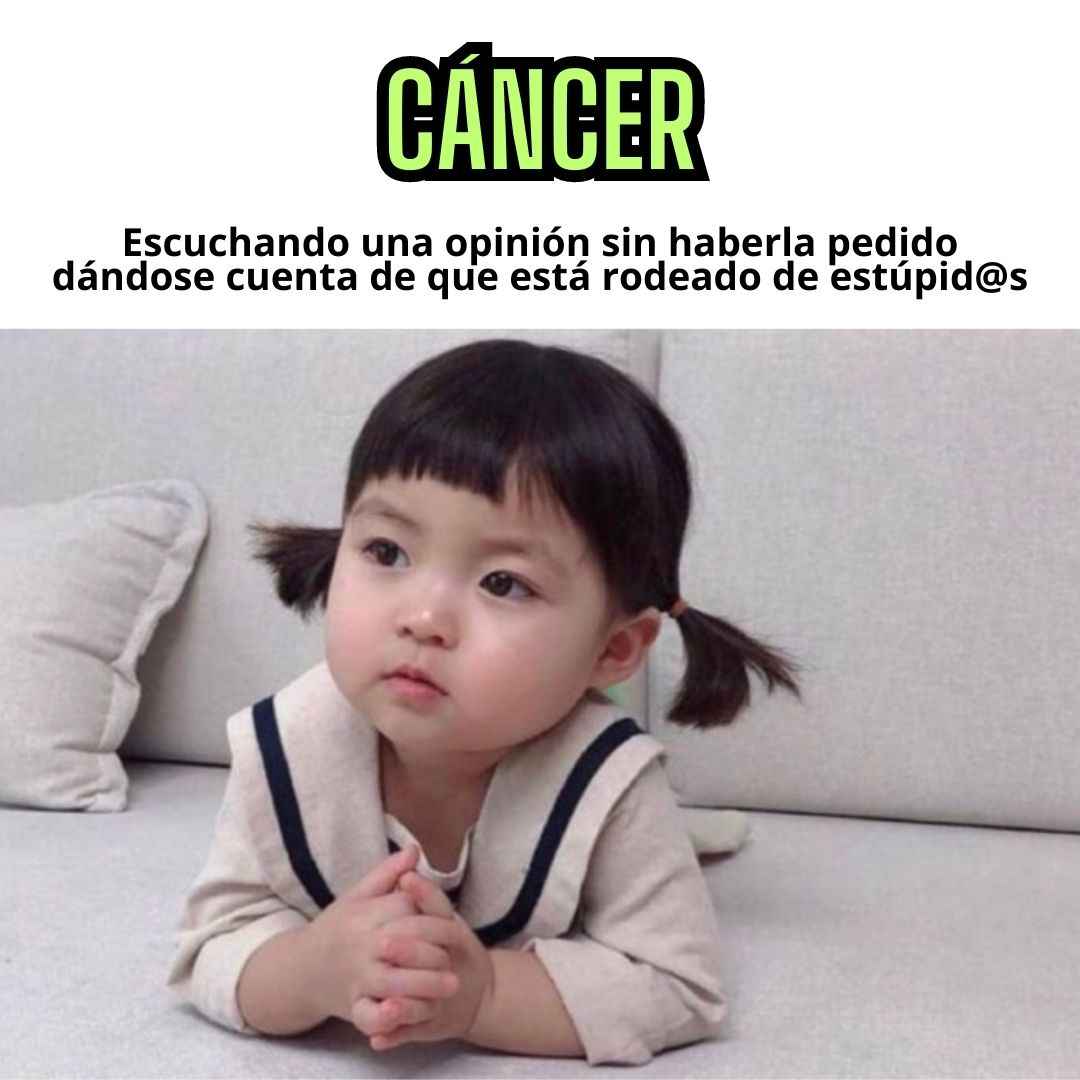 Cáncer Horóscopo Verde tweet media