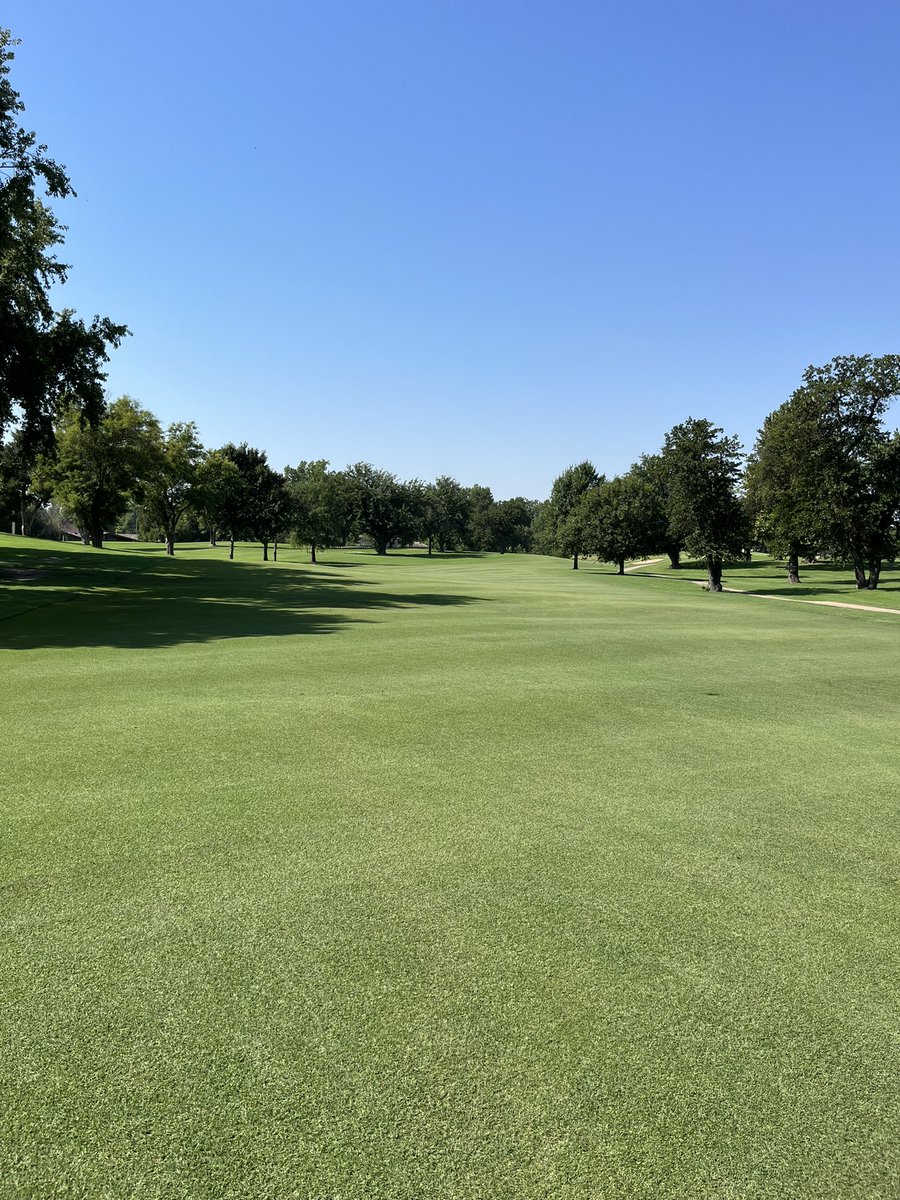 The golf course is holding on through this heat!  Club championship this weekend and member-guest in two weeks!