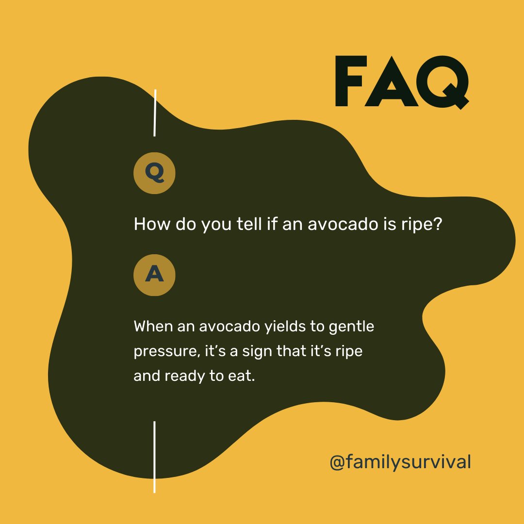 FamilySurvival_'s tweet image. When an avocado yields to gentle pressure, it’s a sign that it’s ripe &amp;amp; ready to eat. While ripe avocados might have a slightly darker color, the hue can vary, so it’s advisable to rely on both touch and color. 

familysurvival.com/should-avocado…

#avocado #FoodStorageTips #AvocadoStorage