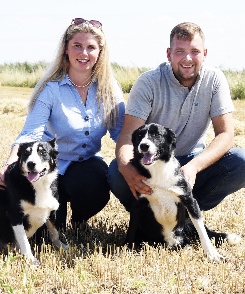 Look out for us in the EDP this weekend talking all about Mendhams Farm and our plans for the future! 2/3 dogs managed to sit still for 2 minutes for a picture 📸📸
