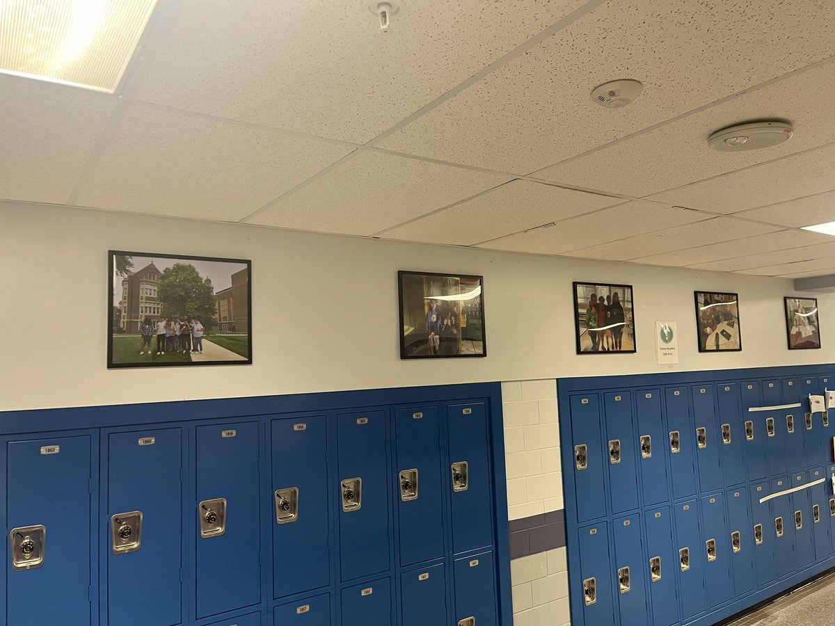 Mandy Shanks tweet media