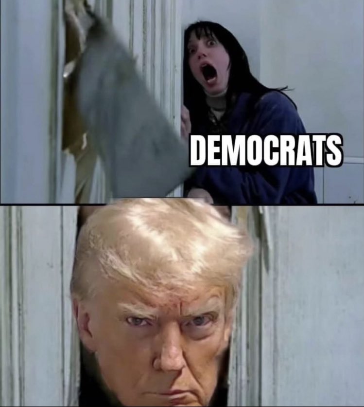 Drop us your favorite Trump mugshot memes 😂