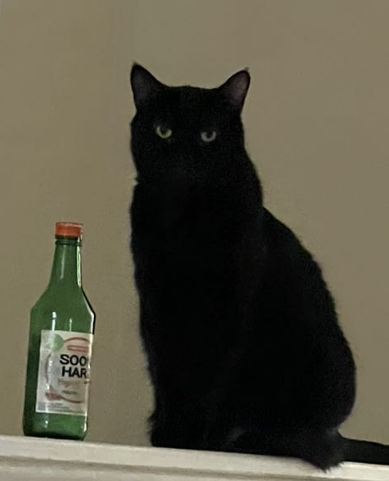 kn6tyw's tweet image. 