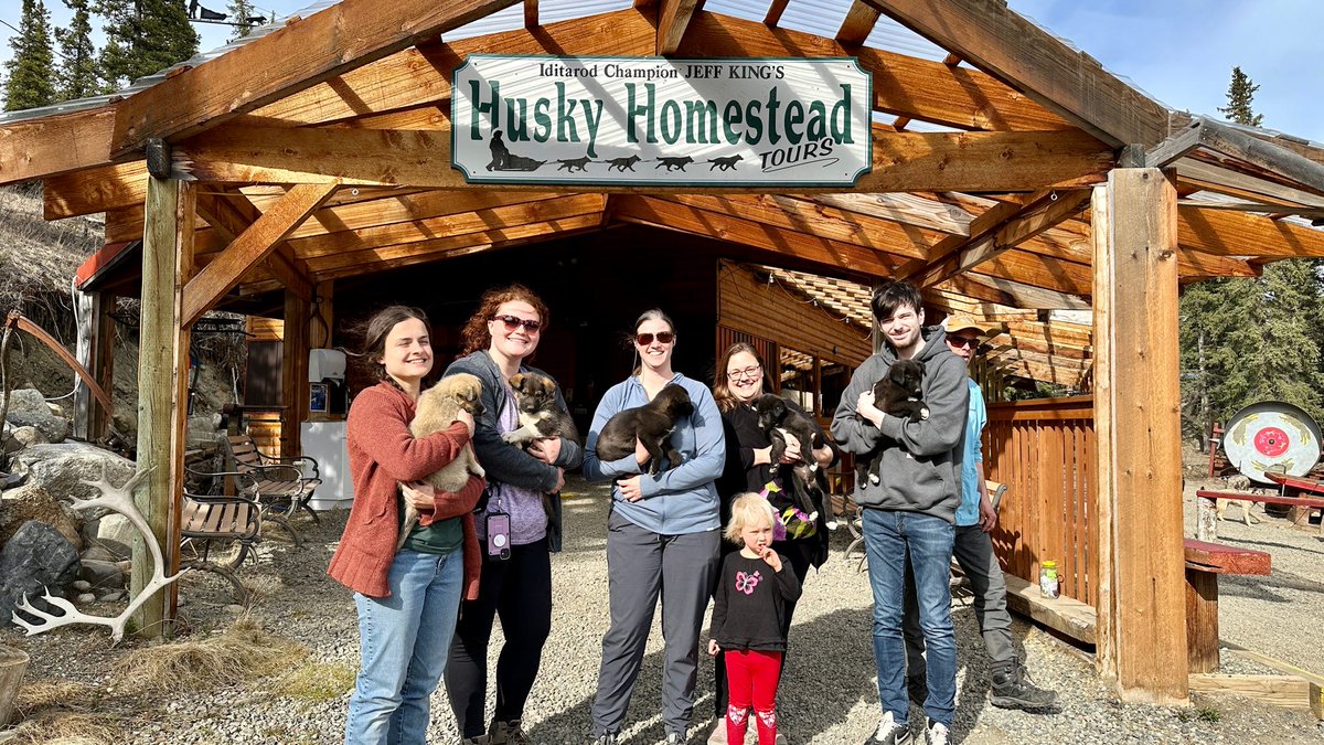 DenaliHostel's tweet photo. Happy #NationalDogDay! Taking a tour of the Denali dog kennels and observing a sled dog demonstration is one of the most popular tours in Denali National Park and Preserve! 🐾 🐾 🐾 

🔗  https://t.co/6aMdIiGkZx https://t.co/JhPaLqa9B6