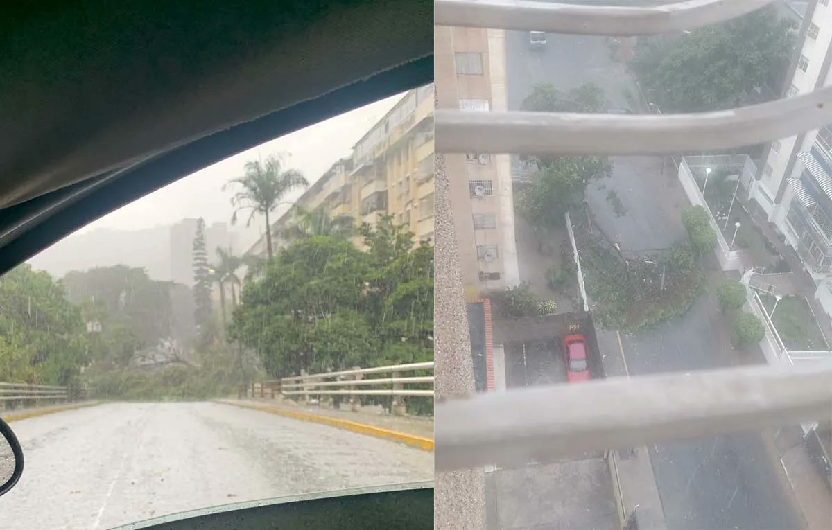 Periodismodes's tweet photo. #Venezuela | Árboles caídos por las fuertes lluvias en Caracas este #25Ago https://t.co/OUpDIefIZd https://t.co/vjlail8SpT