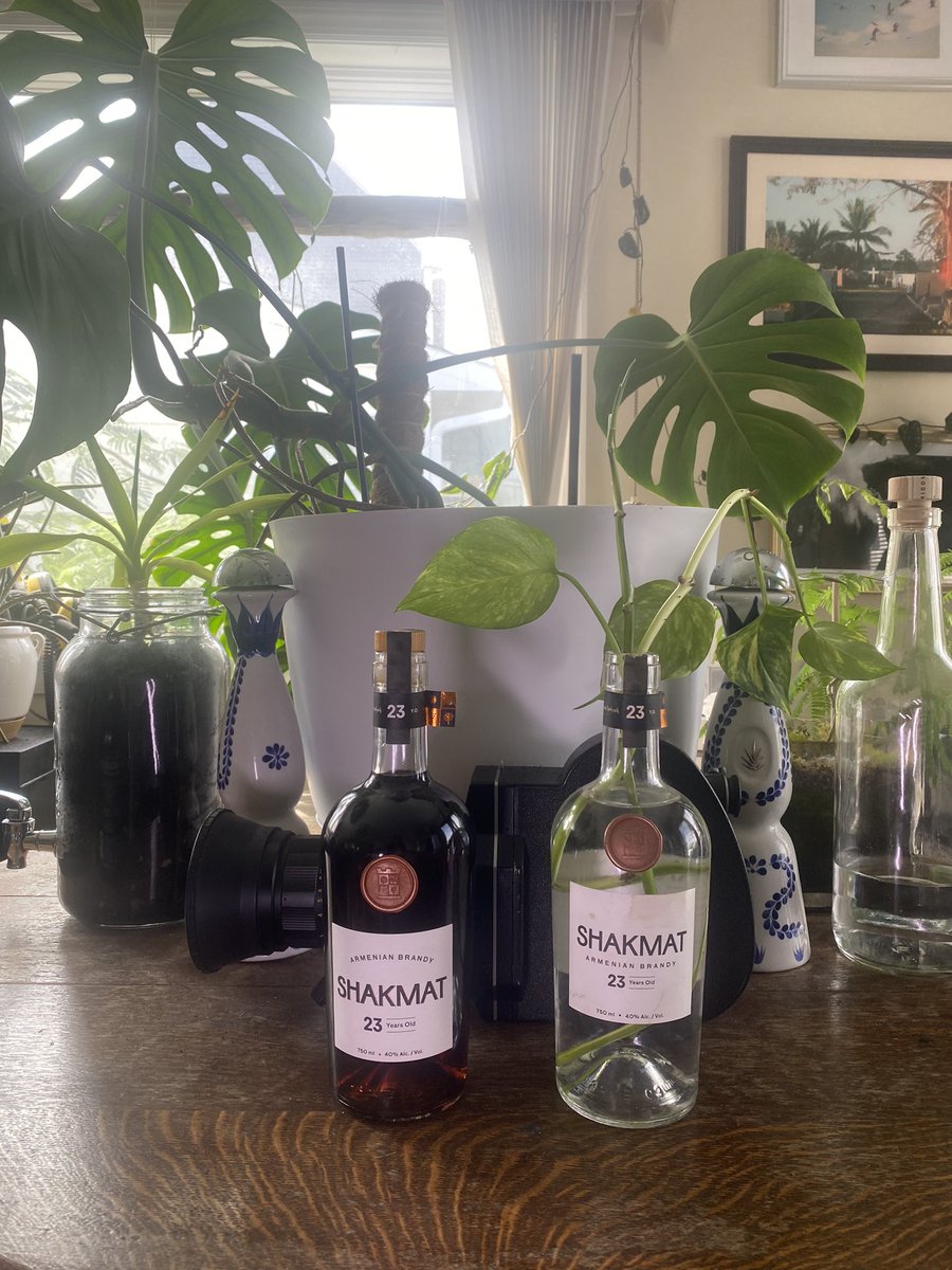 russ roe tweet media