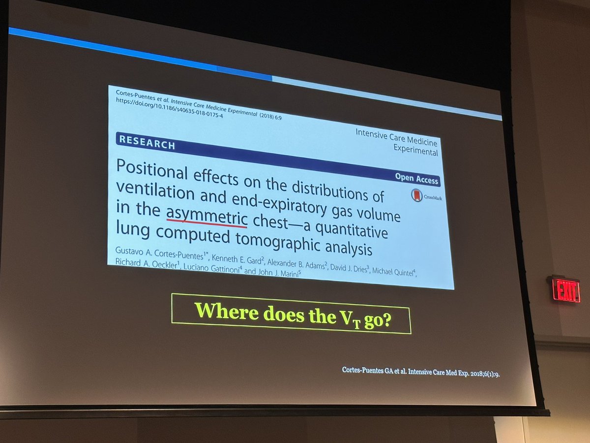 MayoVentilation's tweet photo. @MayoPCCM @DrivingPressure @roeckler @gattinon @PatriciaRocco15 @GicoBellani @Luigi_ICM More homogenous ventilation was found in prone position. @roeckler @DrivingPressure @MayoPCCM https://t.co/Id17oKlKxg