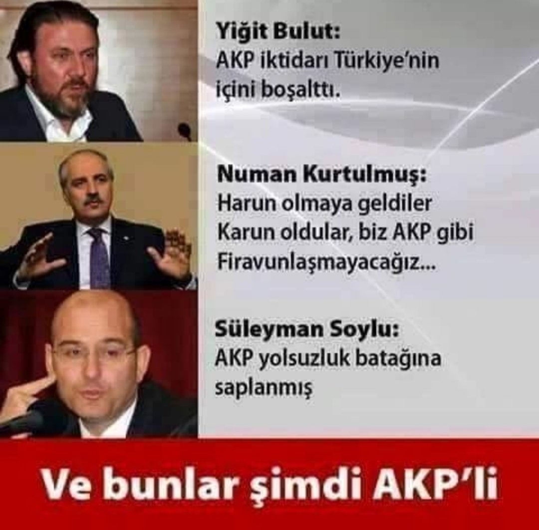 Deli Deli Küpeli 🐋🦩🐟 (@ahmet_iban) on Twitter photo 