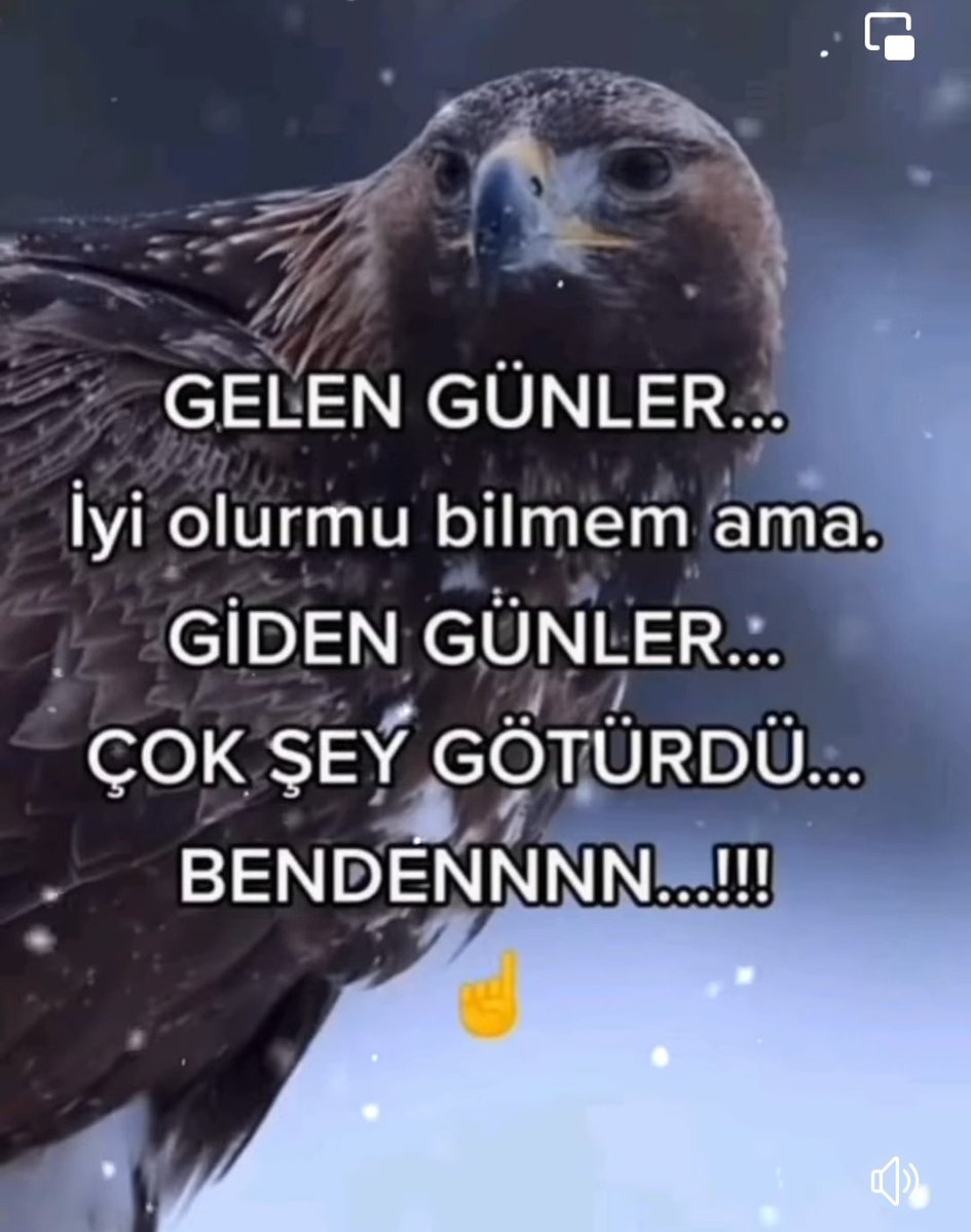 Deli Deli Küpeli 🐋🦩🐟 (@ahmet_iban) on Twitter photo 