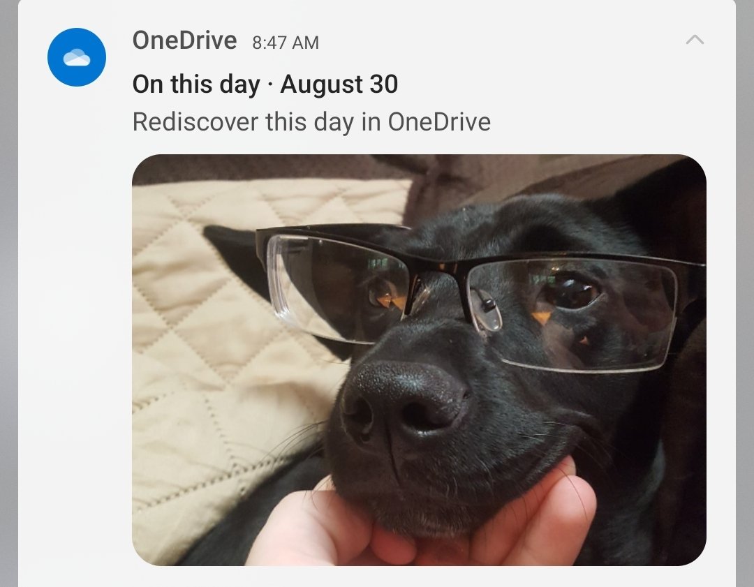 pacinblac tweet media