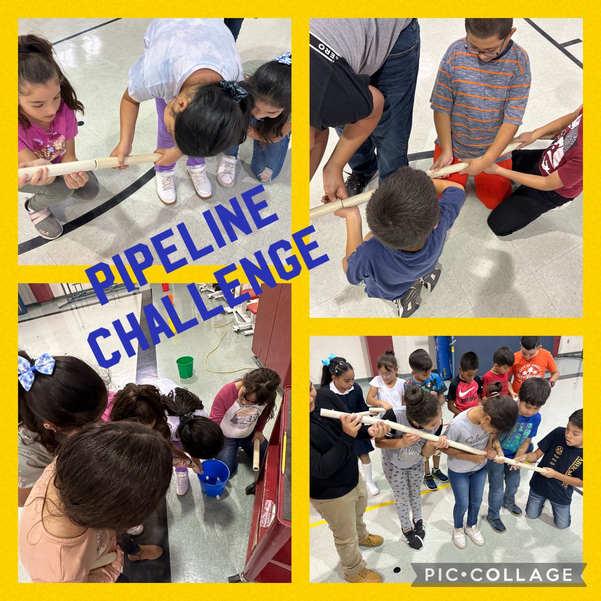 Jeanette Ortiz tweet media