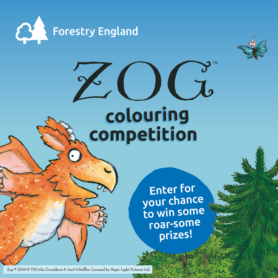 ForestryEngland's tweet photo. Quit ‘dragon’ your heels and head to your local site to enter the #ZogTrail colouring competition 🖍️ 📮 
 
Pop your entry in the postbox then fly around the #ZogTrail 👉 https://t.co/paC0Q03GZl https://t.co/ybmctgp8Mk