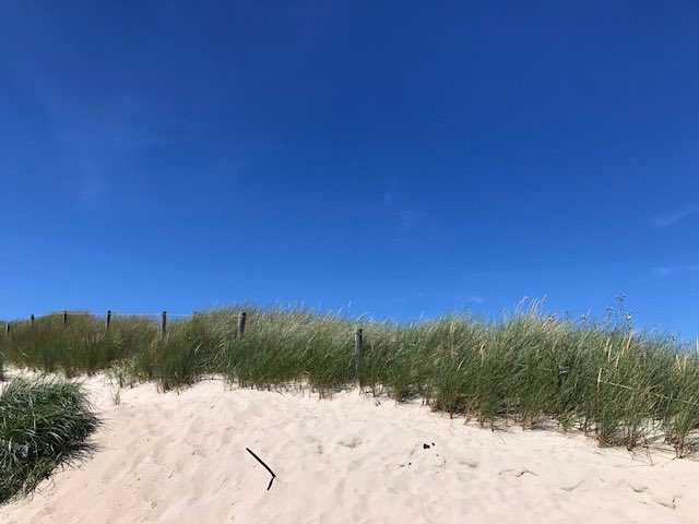 aajbrouwer's tweet photo. #fotochallenge #saffier #septemberweek @LisetteOpTexel 
Dat was genieten 😍 https://t.co/P6hGFe8iqr