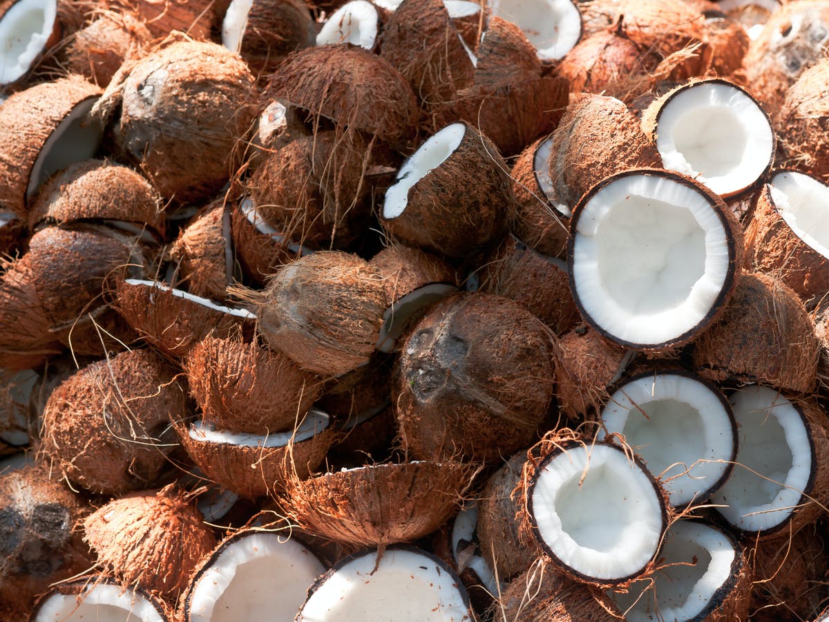 Nig_Farmer's tweet photo. #NaijaFarmerTips

Coconut is eaten by everyone, it's called the "Tree of Life" (No part of it is a waste, from its root to the fonds it's all useful)

It's a steady money making venture for farmers & non farmers.

Fairly low capital investment, easy to grow & a steady flow of income every year for 100 years.

The great thing about Coconut is that they're always in season all year long

The word “coconut” comes from Spanish “coco” meaning skull or scary face because of the 3 pores (or 3 eyes) on every coconut shell.

There are 3 types.

Dwarf Variety - start producing by 3-4 years

Tall varieties - start production by year 5-9years common in Nigeria.

The tall variety lives longer than dwarf variety. Also Tall varieties are less prone to disease and pest (anything dwarf na problem)

Hybrid - mature faster and have more nut production compared to the 2. If you want to go into commercialized coconut, choose Hybrid (but ask questions)

Planting density is ~200 trees per hectare.

Each tree will produce around 70-90 fruits every year and it increases as the tree matures.

At an average N300 per nut, a farmer with one hectare of coconut trees is a millionaire by Naija standards 😊

Some crops Beans, potatoes, vegetables e.t.c can be intercropped with Coconut trees.

Coconut plantation doesn't really need Intensive maintenance like Cocoa... it's more like little or no maintenance at all.

Coconut production is a long term investment... It's called the 3 generation plant (you go chop money, your pikin go chop inside, your grand children too go chop the remaining)

There are great product from coconut -
Oil
Milk
Cream
Sugar
Flakes
Butter

Nigeria is loosing good revenue from Coconut value chain, majority of the Coconut we consume in Nigeria are imported from Cote D'Ivoire, Ghana & Benin Republic.

The Coconut we produce in Nigeria are majorly for household consumption, we've not scratched the industry in the Coconut Value Chain (We just dey chop Coconut dey go)

Its profitable by all standards, If you're looking at long term investment with little maintenance and less stress think Coconut

As at 2021, 750k-900k excluding land will set up 1 hectare of a Coconut plantation in the coastal region of Nigeria (the cost has definitely changed)

If you have the funds and land... You should consider.

Cheers 🥂
Happy Weekend