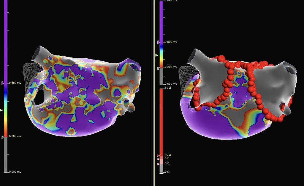 Joshua Davis tweet media