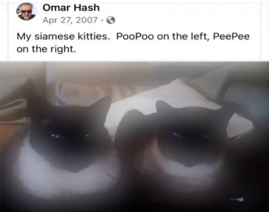 art is too hard (@yrs______) on Twitter photo 