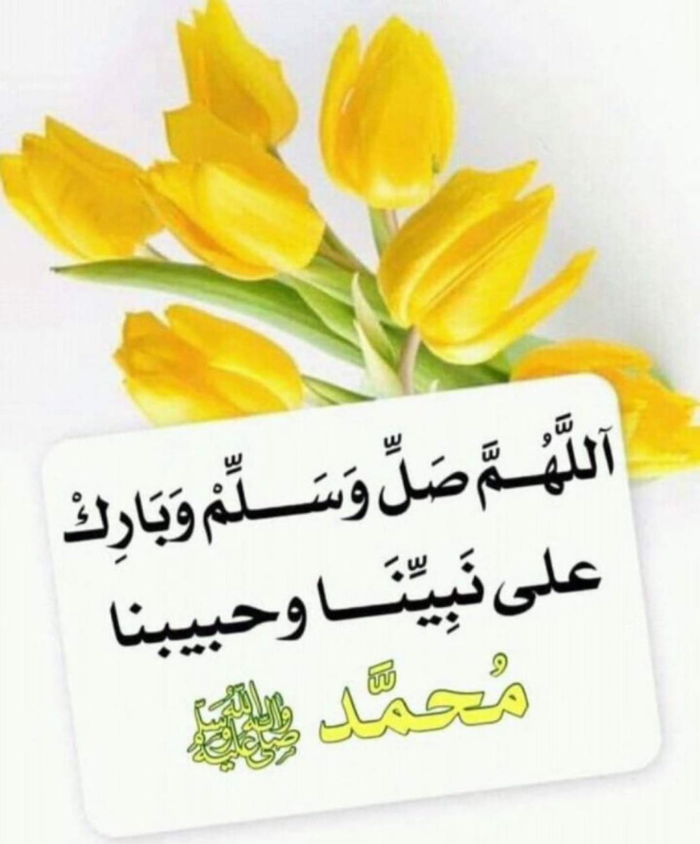 M_Pti01's tweet photo. https://t.co/W1T13150i3