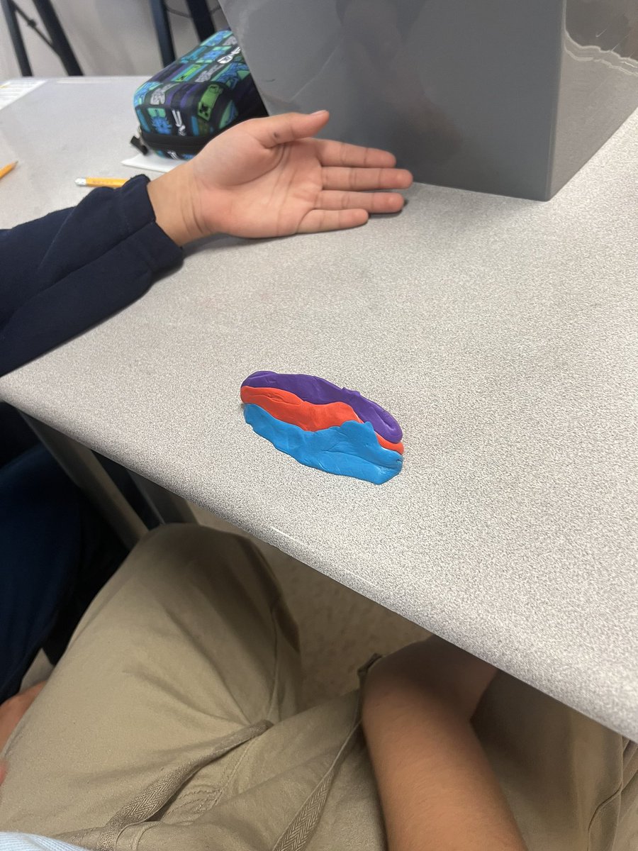 Rosanna Lamanoco tweet media