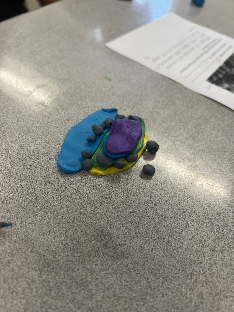 Rosanna Lamanoco tweet media