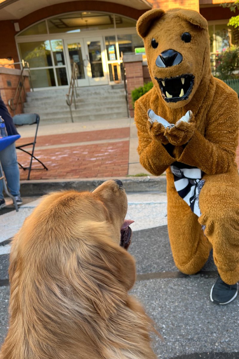 Cheryl (@keepinitchereal) on Twitter photo When you meet the Nittany Lion, he blows you a kiss and then you compare toothy smiles! 💙🤍🐾 #WeAre <a href="/GoPSUsports/">Penn State Athletics</a> <a href="/PennStateFball/">Penn State Football</a> When you meet the Nittany Lion, he blows you a kiss and then you compare toothy smiles! 💙🤍🐾 #WeAre <a href="/GoPSUsports/">Penn State Athletics</a> <a href="/PennStateFball/">Penn State Football</a>