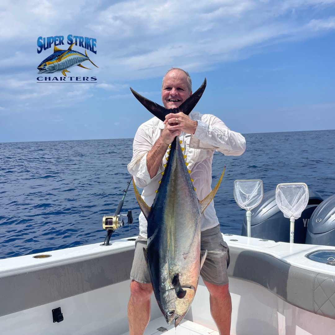 DPMSSC's tweet photo. This is only day 1 of their 2 day charter people! Eddy crew and Captain Bob filled up the board! Can't wait to see what's on the catch list for tomorrow!
#offshore #fishing #superstrike #superstrikefishingcharter #tuna #freemanboatworks #yamahaoutboards #saltwaterfishing https://t.co/vWK8nrrwg7