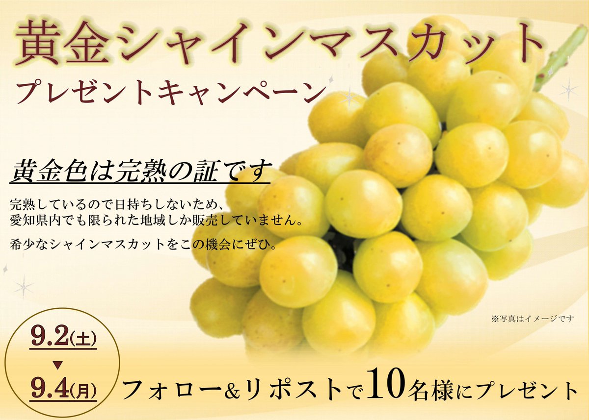 jaaichi_kzr's tweet photo. 📢いいね！あいち産 #キャンペーン
『黄金シャインマスカット』をプレゼント🎁

大好評の去年に続き今年も開催💕
完熟で収穫するからとても甘く
流通が限られた希少な #シャインマスカット

1⃣ @jaaichi_kzr をフォロー 
2⃣この投稿をリポスト

9月3日(月)まで⚠️短期間なので注意
規約はリプライ欄にて https://t.co/LQHx6MC7Zh
