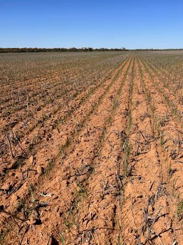 Wesley Benton (@wesbenton68) on Twitter photo 