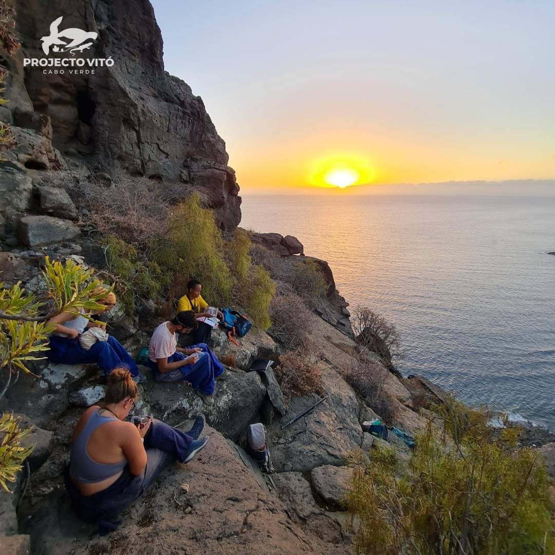 projecto_vito's tweet photo. Our technician Ivandra Gomes is in the #CanaryIslands, #Veneguera, taking part in the #Seabird Campaign with the species #Calonectrisborealis since the beginning of August, together with other students from the University of Barcelona.
#conservation #ring #nest #gps #geolocator https://t.co/iv65YOsCKN