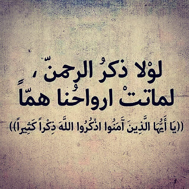 #قروبات_البابلي_للاضافات
