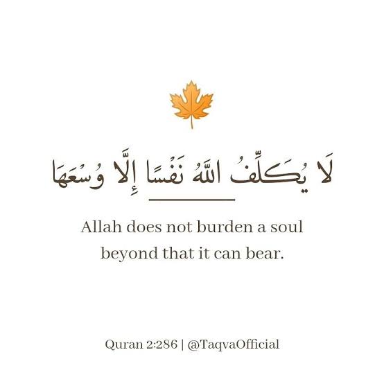 HarisMuavia3's tweet photo. Allah does not burden a soul beyond that it can bear ❣️
#alquran https://t.co/Ww3KopezjU
